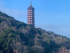 -普陀山风景区-佛顶山