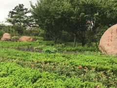 -山东大学(威海校区)