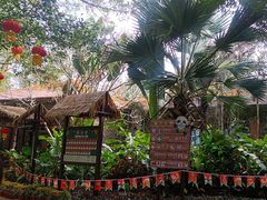 -海南热带野生动植物园