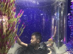 -大连圣亚海洋世界