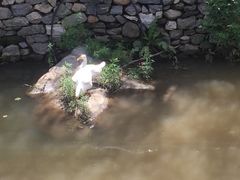 -北京水岸山吧度假村(雁栖镇店)