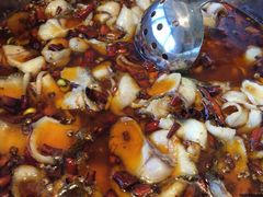 -立标杆麻辣鱼(宝龙广场店)
