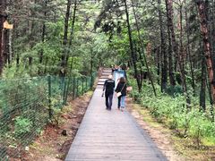 -帽儿山国家森林公园