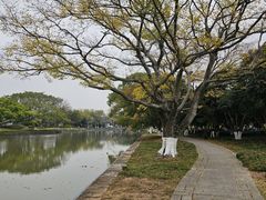 -江心屿景区