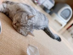 -美联众合动物医院(·中兽医·疑难杂症·严家桥分院)