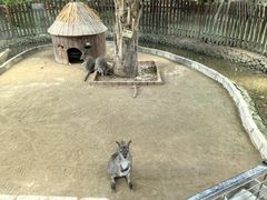-呀路古热带植物园