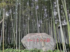 -上海醉白池公园