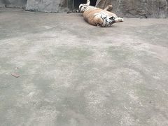 -南昌动物园