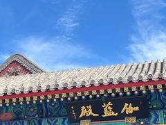 -天津大悲禅院