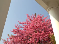 iphone_upload_pic-广州大学(桂花岗校区)