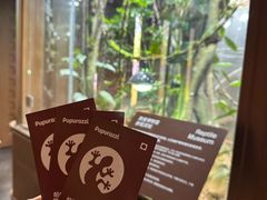 -帕帕拉兹宠物(亚洲旗舰店)