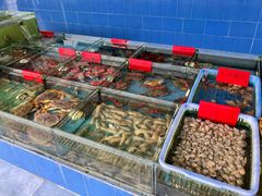 -七鲜渔港美食餐厅(巽寮湾海景店)