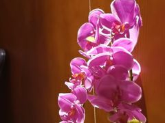 -木兰逸•泰式按摩•头疗•SPA(车公庙店)