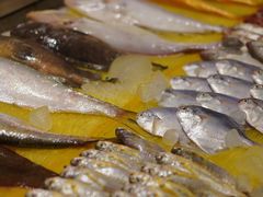 -健眺小海鲜(临海后山店)