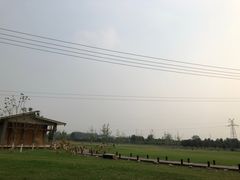 -夏河溪乡野公园