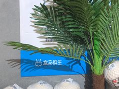 -盒马鲜生(岭南新世界店)