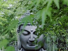 -杭州植物园