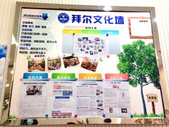 -泰康拜博口腔(世博园乐尔店)