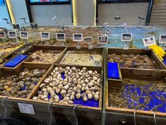 水产区-高佳庄·舟山海鲜(海景旗舰店)