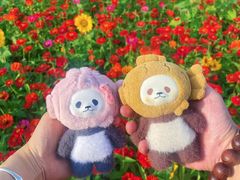-北陵公园
