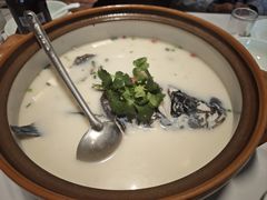 -全乐鱼馆·淳牌有机鱼直营店