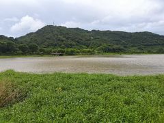 -风云岭森林公园