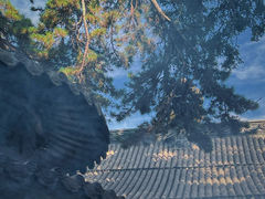 -五台山风景区