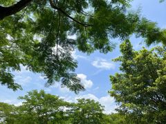 -海珠湖公园