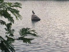 -泉州迎宾馆