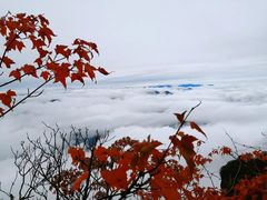 -塔云山