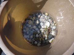 -北海金海湾红树林生态旅游区