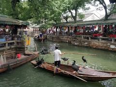 -同里国家湿地公园