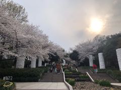 -杭州少年儿童公园