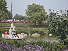 -荷兰花海