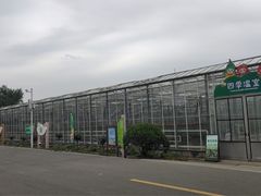 -苏州太湖西山岛开心农场