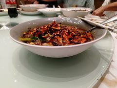 -新吉士·上海菜(浦东LCM置汇旭辉店)