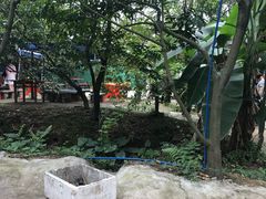 -小蜜蜂团建自助烧烤场(小洲村店)