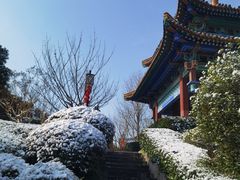 -阅江楼风景区