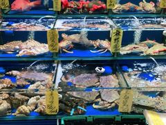 -黄沙水产交易市场