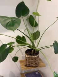 -诗俪美容·生活馆