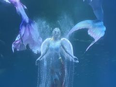 -海合安成都极地海洋公园