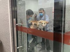 -宠物家(角门东店)