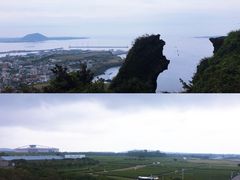-涉地可支
