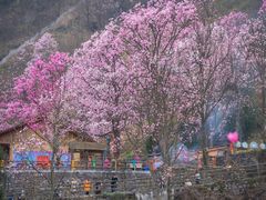 -九皇山景区