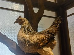 -洞庭土菜馆(天河北总店)