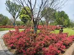 -西溪国家湿地公园