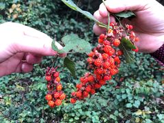 -宁波五龙潭景区