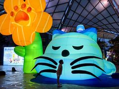 -三亚海昌梦幻海洋不夜城