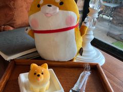 柴犬蛋糕-柴犬高等学院·狗咖·柴犬售卖·宠物训练