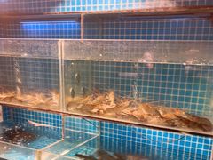 水产区-李久其家民间餐厅(观沙岭公园店)